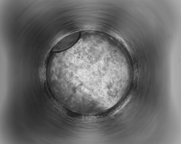 X0000093171019200710171224