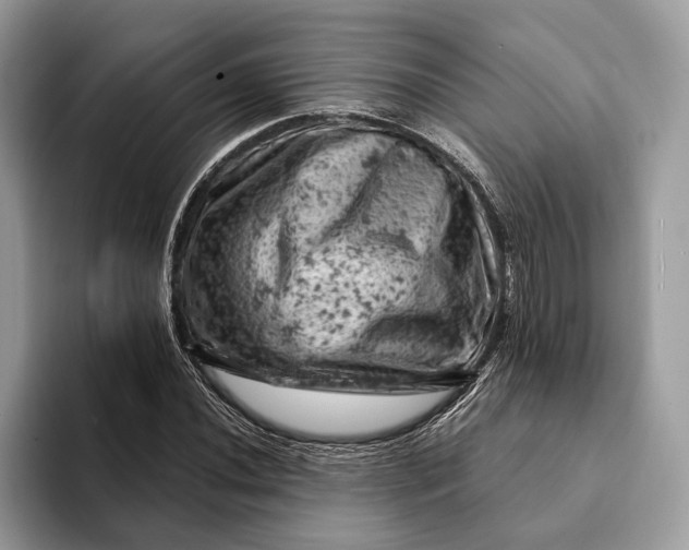 X0000093171020200710171224