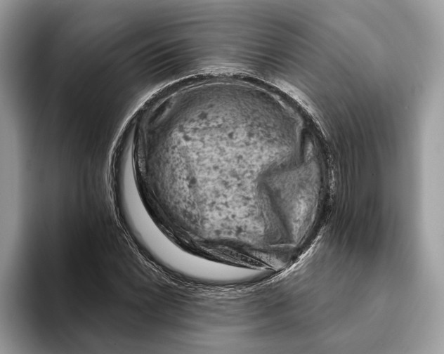 X0000093171022200710171224