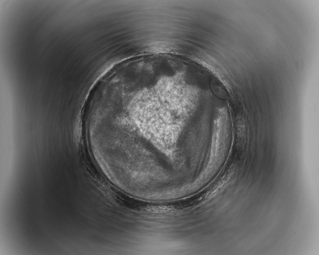 X0000093171023200710171224