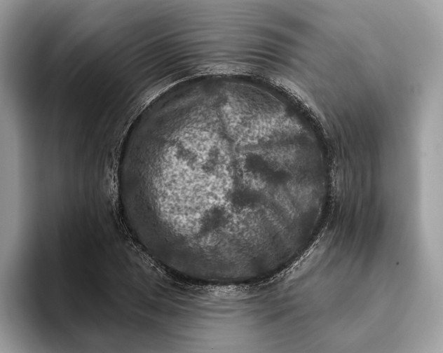 X0000093171025200710171224