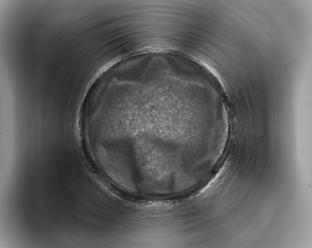 X0000093171026200710171224