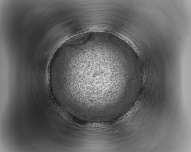 X0000093171027200710171224