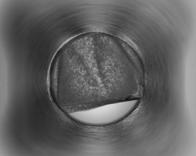 X0000093171028200710171224