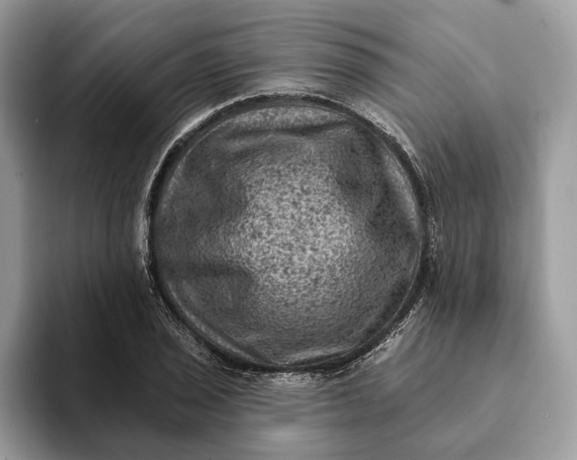 X0000093171029200710171224