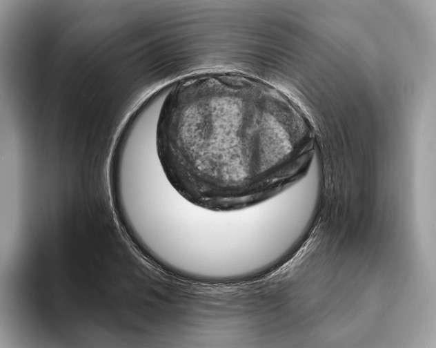 X0000093171030200710171224