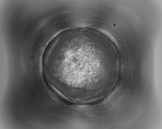 X0000093171031200710171224