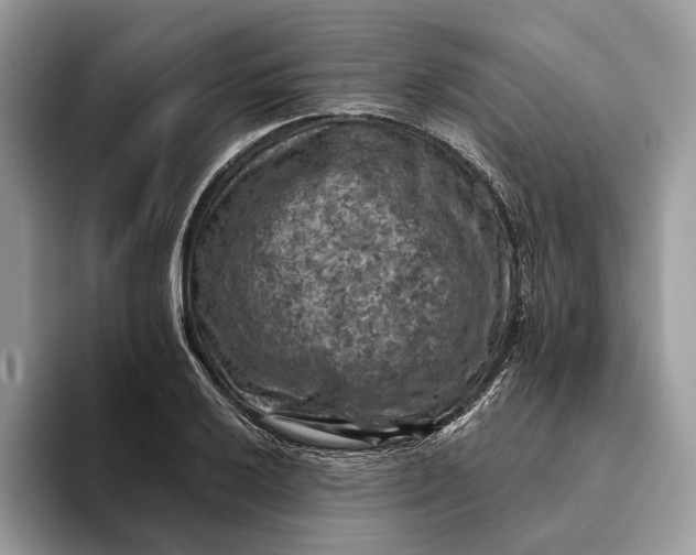 X0000093171032200710171224