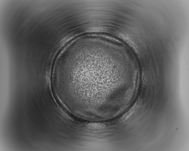 X0000093171033200710171224