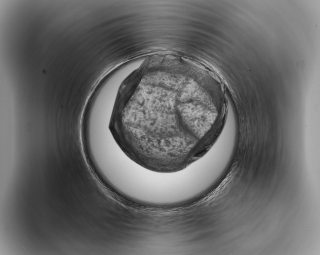 X0000093171034200710171224