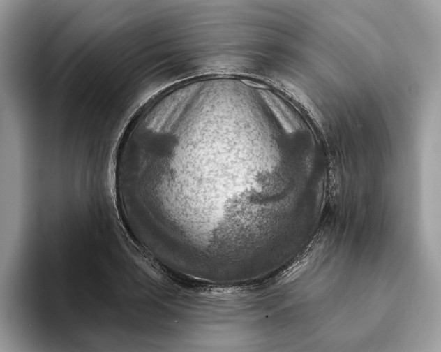 X0000093171035200710171224