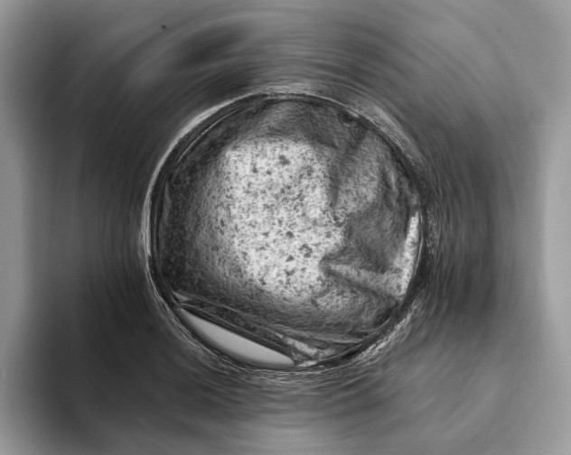 X0000093171036200710171224