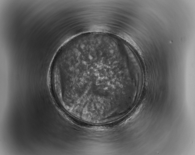 X0000093171037200710171224