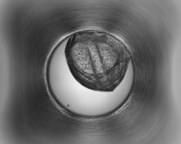 X0000093171038200710171224