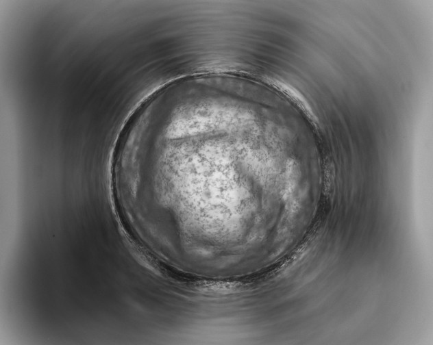 X0000093171039200710171224