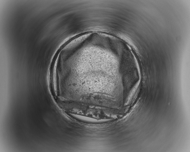 X0000093171040200710171224