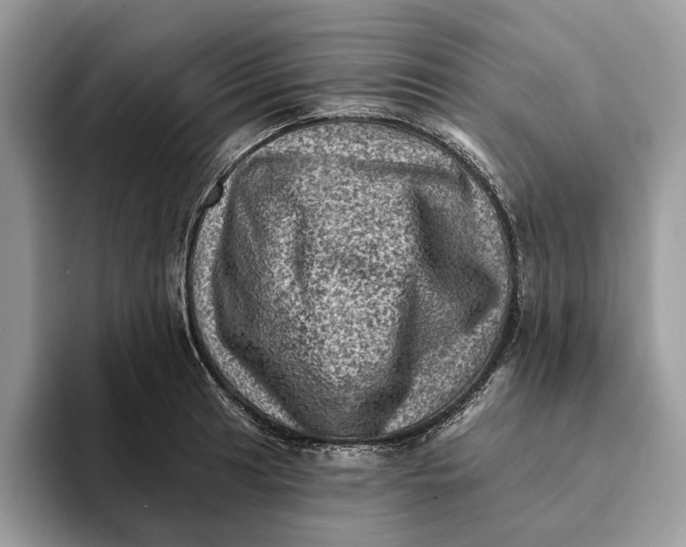 X0000093171041200710171224