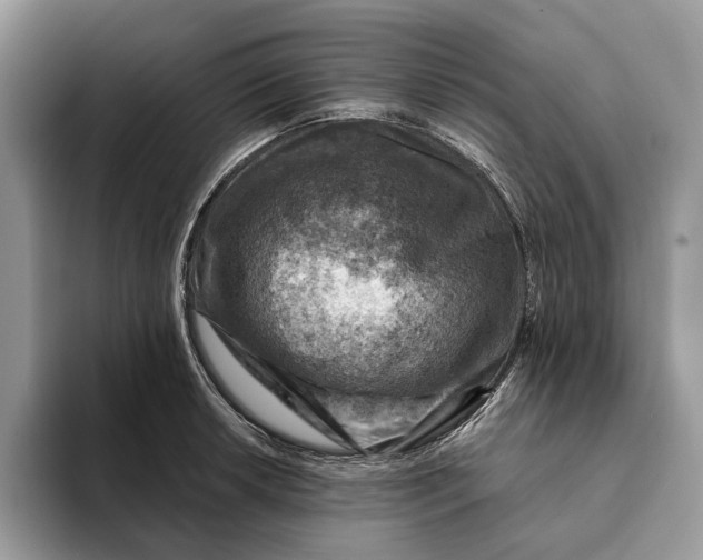 X0000093171042200710171224