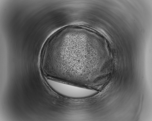 X0000093171044200710171224