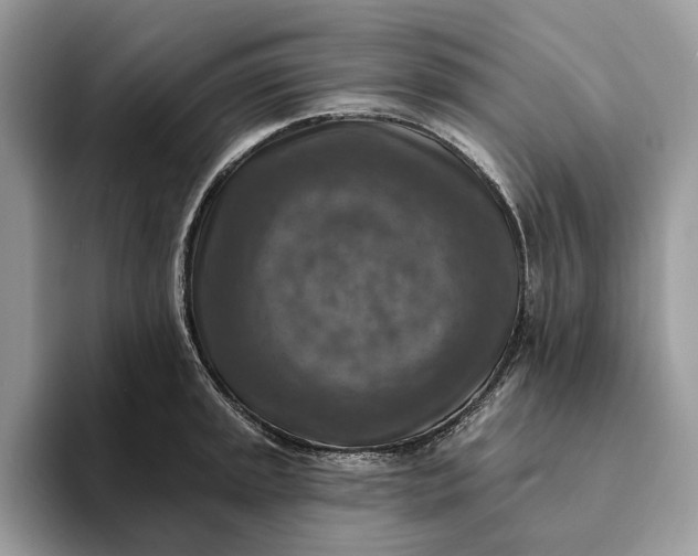 X0000093171045200710171224