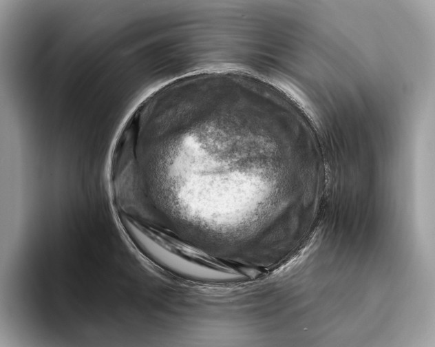 X0000093171046200710171224