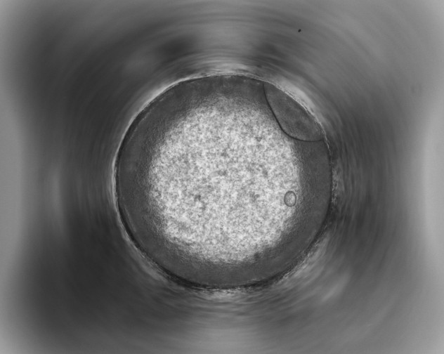 X0000093171047200710171224