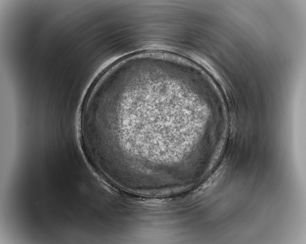 X0000093171048200710171224