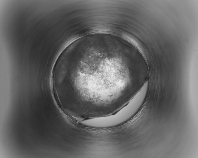 X0000093171050200710171224