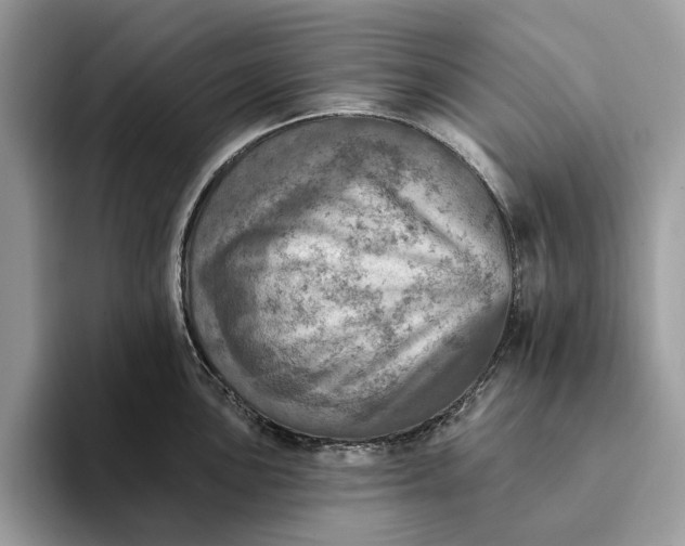 X0000093171051200710171224