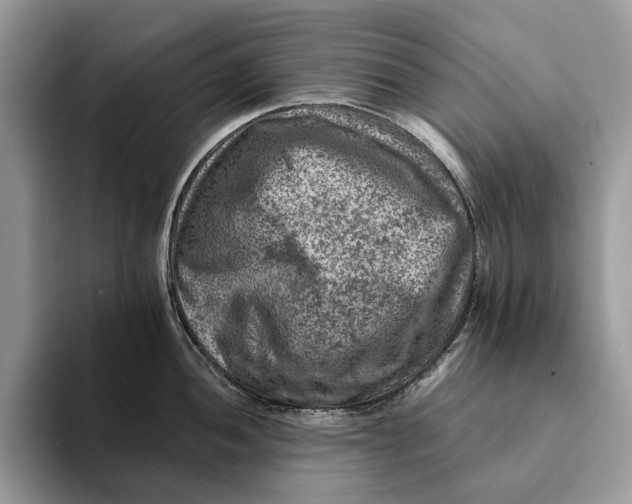 X0000093171052200710171224