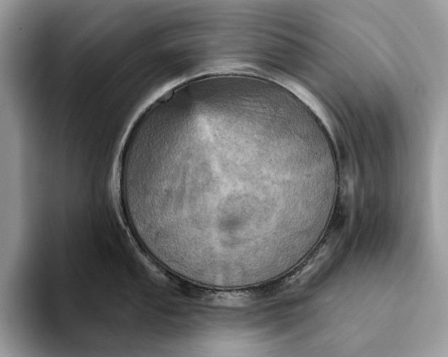 X0000093171053200710171224