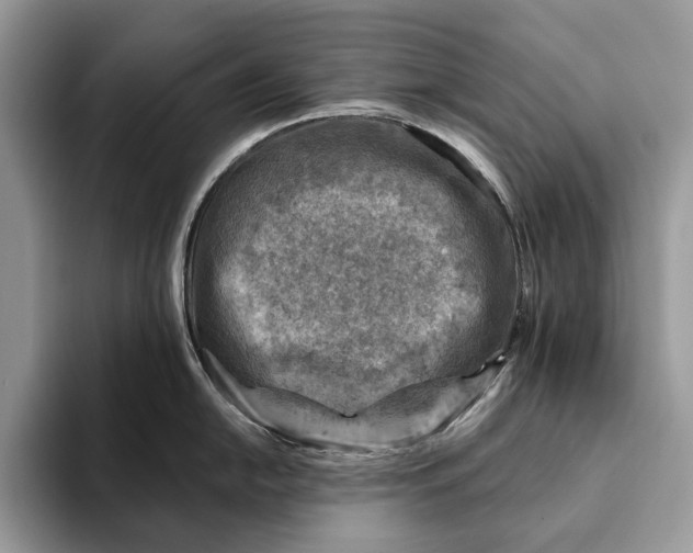 X0000093171054200710171224