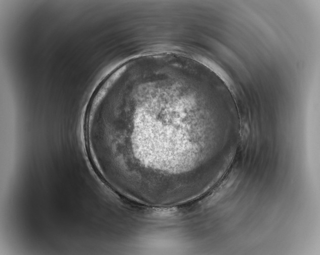 X0000093171055200710171224