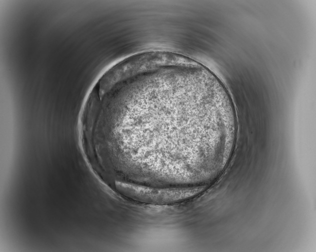 X0000093171056200710171224