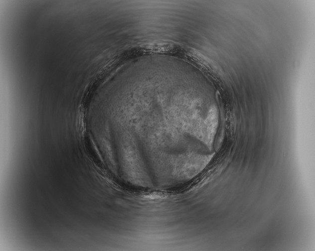 X0000093171058200710171224