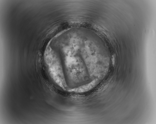 X0000093171059200710171224