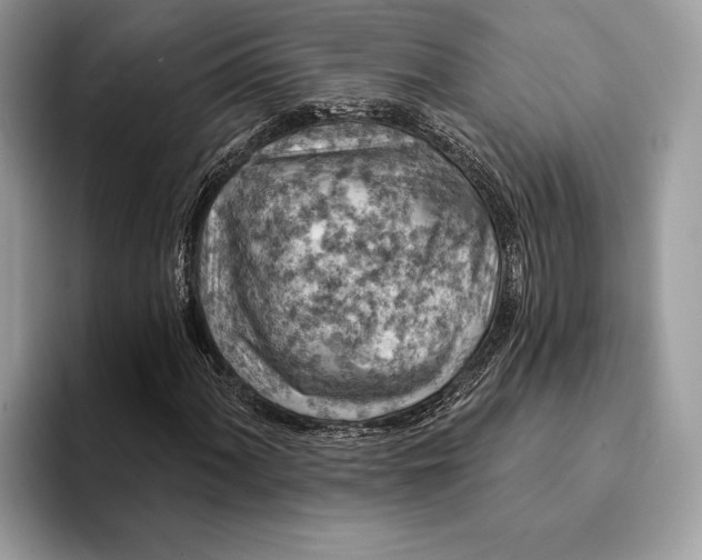 X0000093171060200710171224