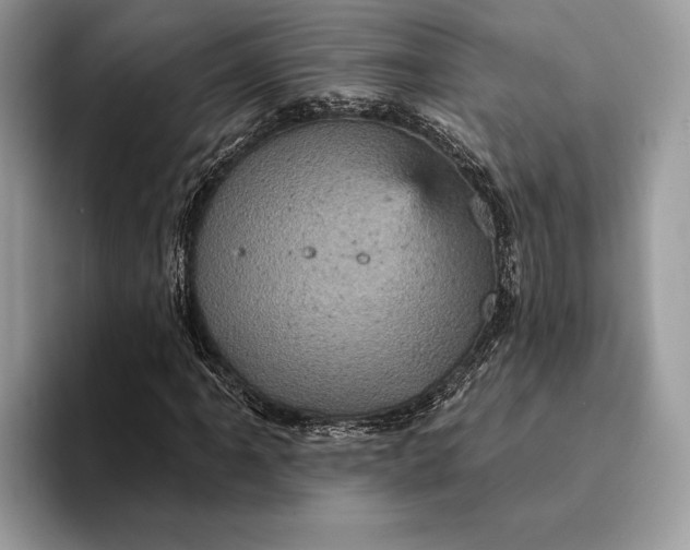 X0000093171061200710171224