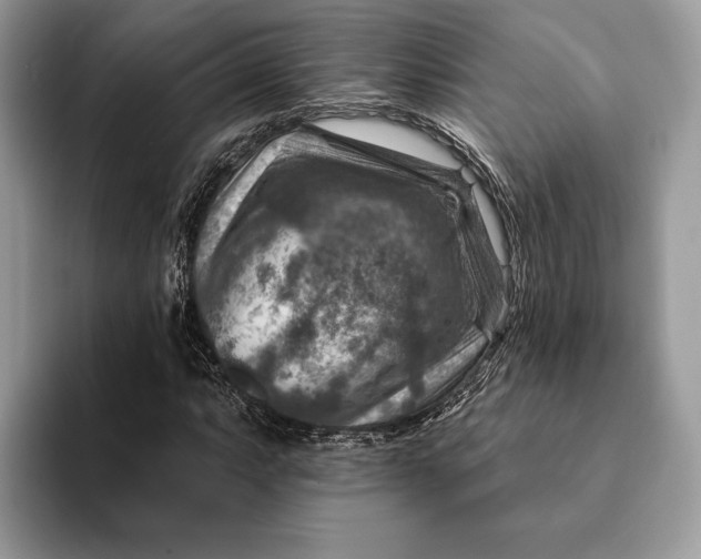 X0000093171063200710171224