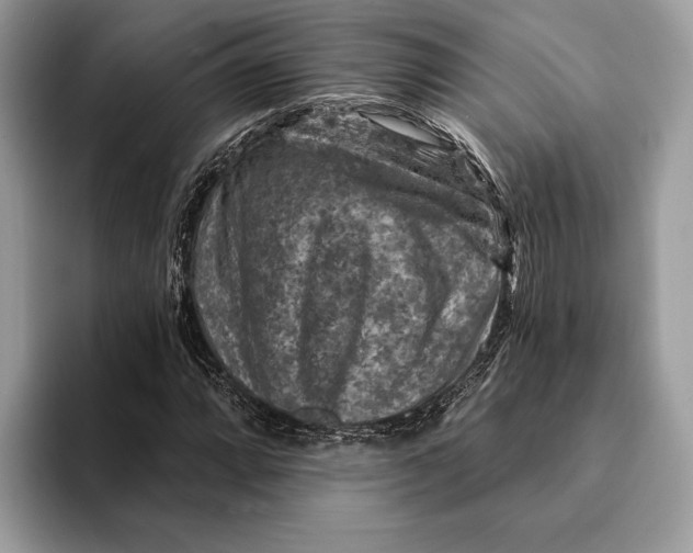 X0000093171064200710171224