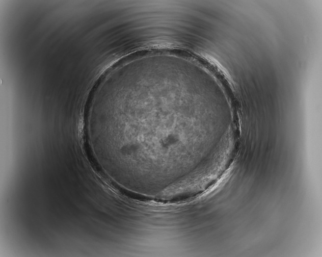 X0000093171065200710171224