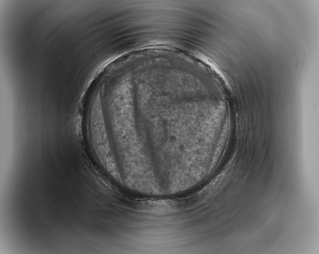 X0000093171066200710171224