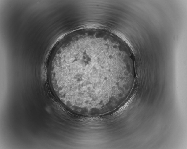 X0000093171067200710171224