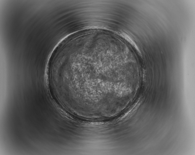 X0000093171068200710171224