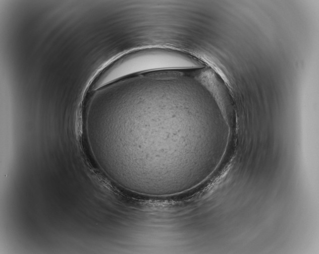 X0000093171069200710171224