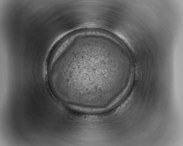 X0000093171070200710171224