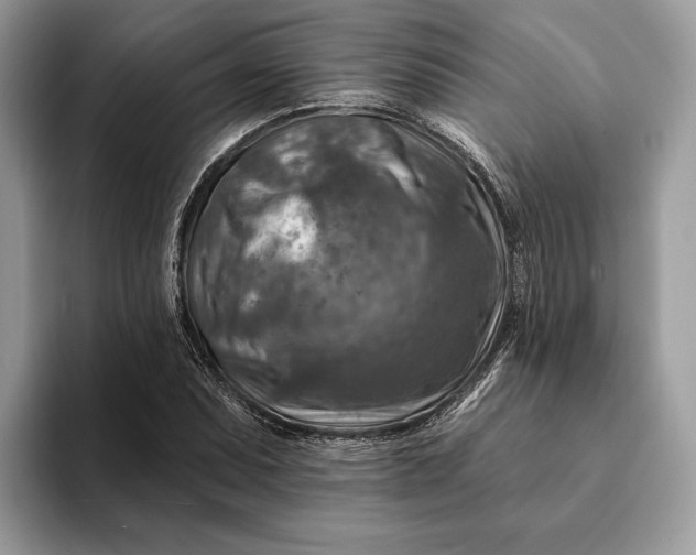 X0000093171071200710171224