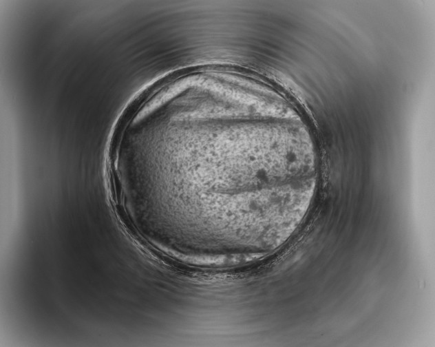 X0000093171072200710171224