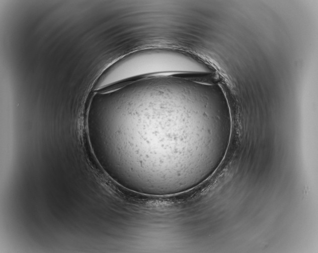 X0000093171073200710171224