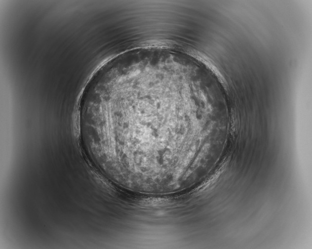 X0000093171075200710171224